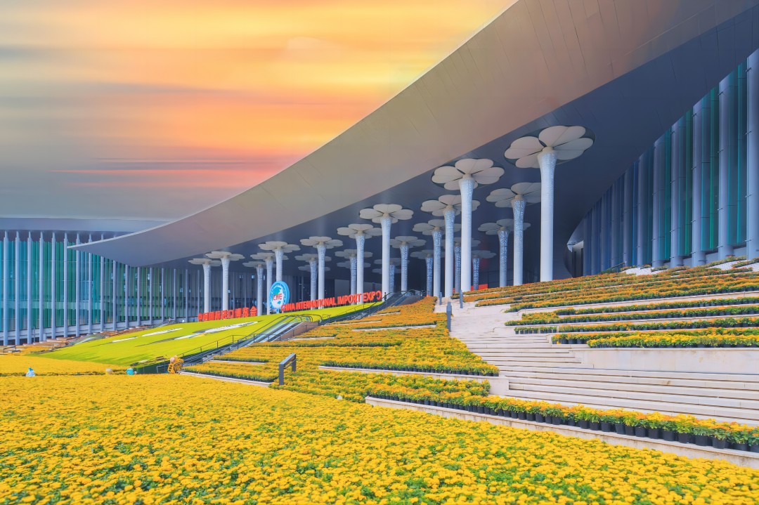 进出口业务板块